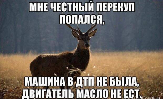 Автоприколы авто, прикол, юмор