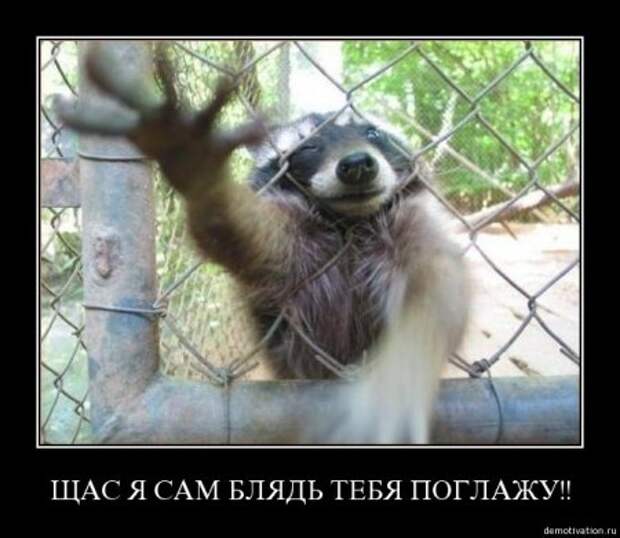 Плохих демотиваторов нет.