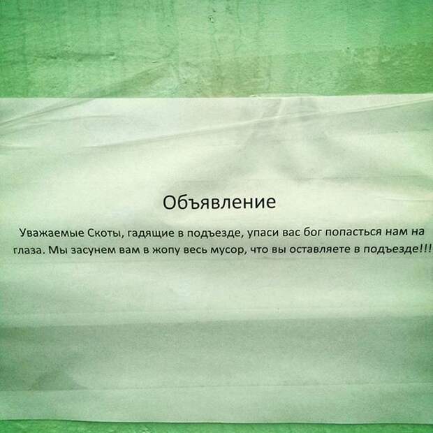 Самый чистый подъезд в Тушино люди, объявления, подъезд, позитив, юмор