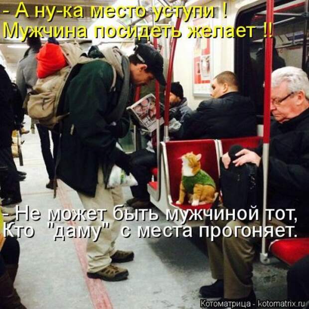 Свежий сборник котоматриц (34 шт)