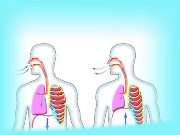 Методика выполнения рыдающего дыхания для оздоровления, похудения и омоложения