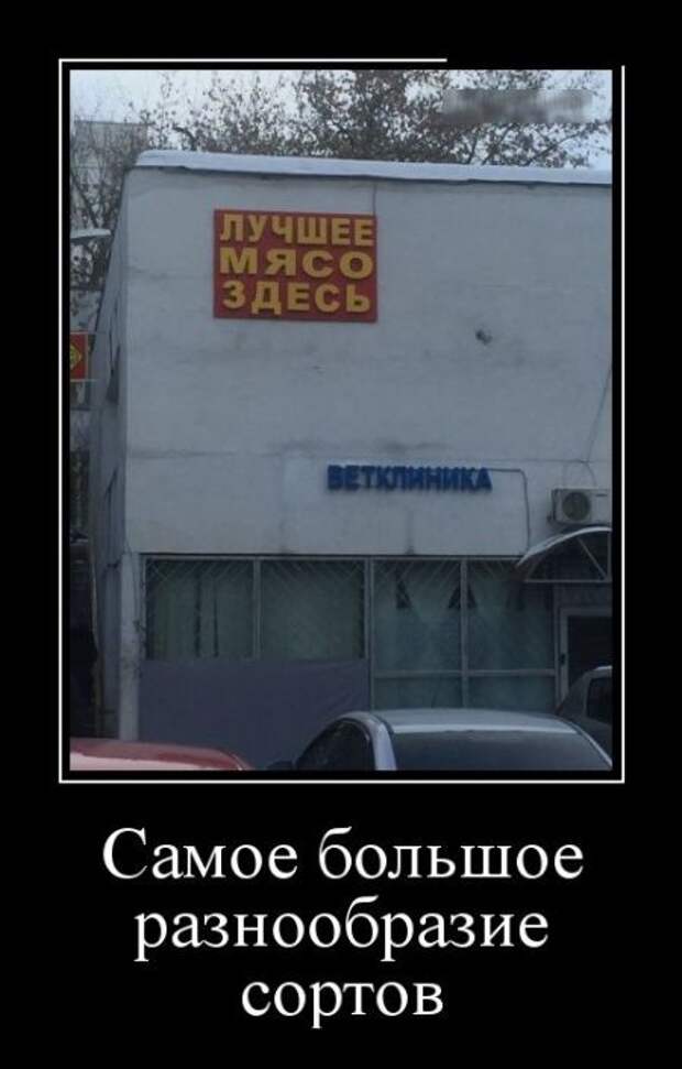 Демотиваторы (30 фото)