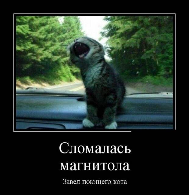 Демотиваторы демотиваторы, прикол, смех, юмор