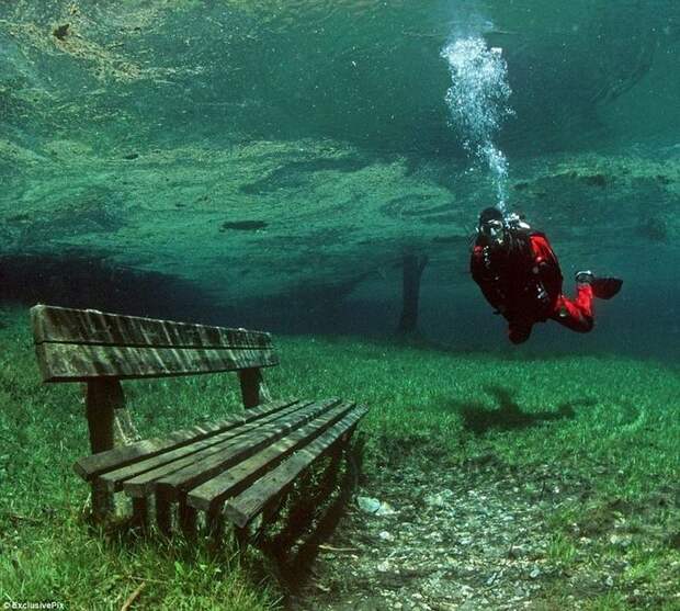 Грюнер Зее - парк, который превращается в озеро (14 фото)