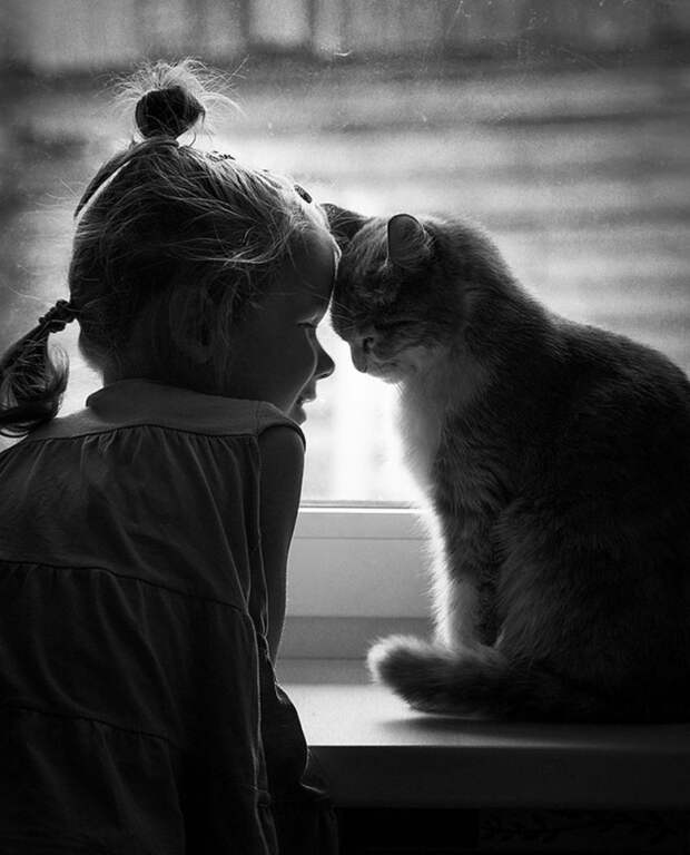 трогательные фотографии детей и котов (6)