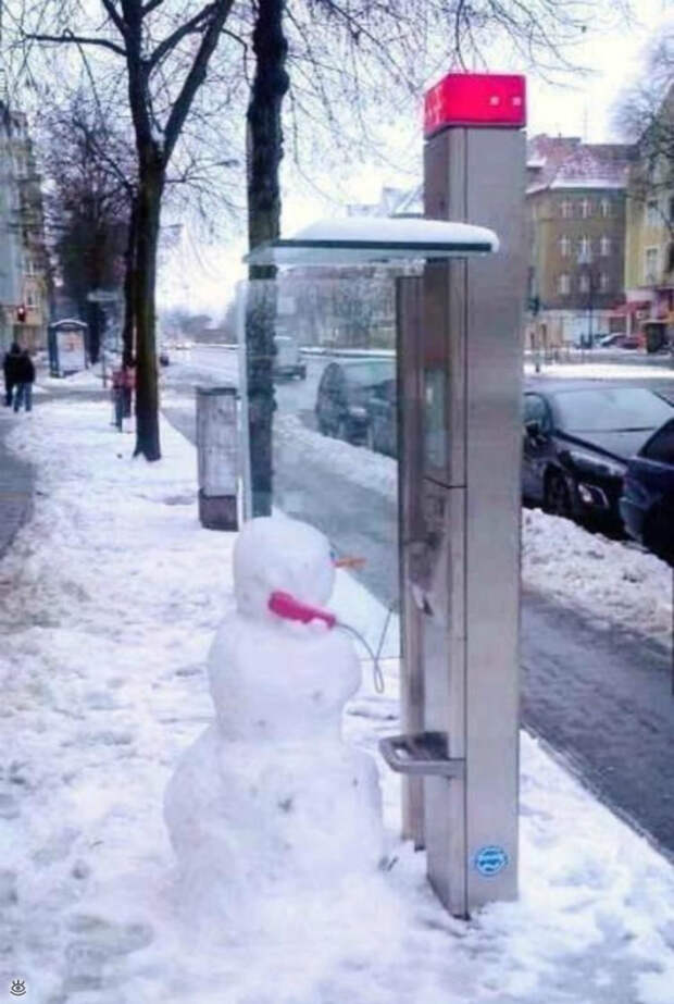 Казусы, возможные только зимой 2