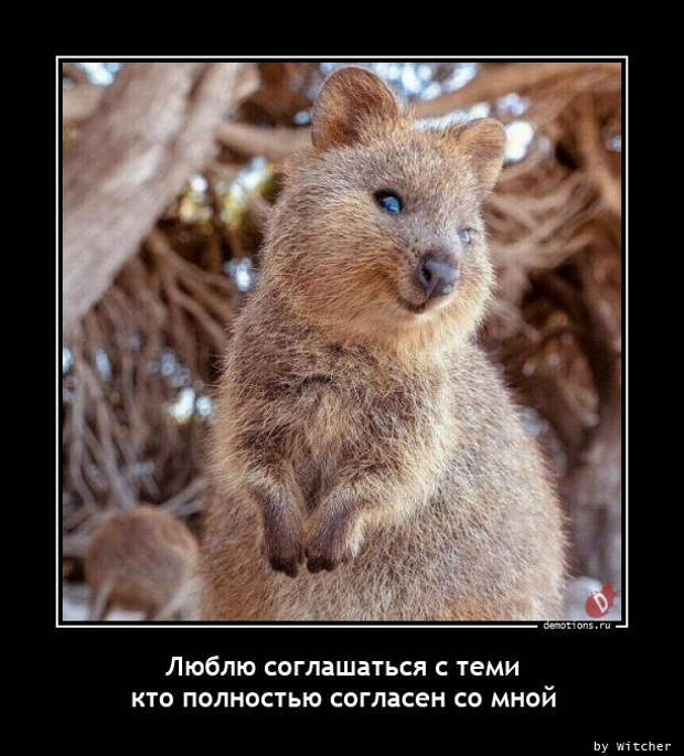Новые демотиваторы на Бугаге (19 шт)