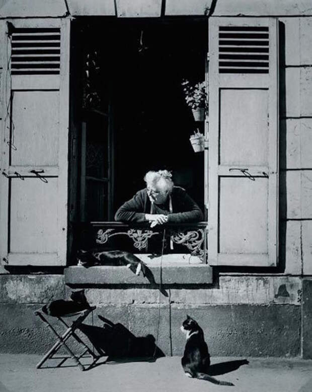 Brassai-chat-paris1 (557x700, 64Kb)