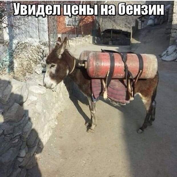 Подборка автоприколов. Часть 209 авто, автоприколы, приколы