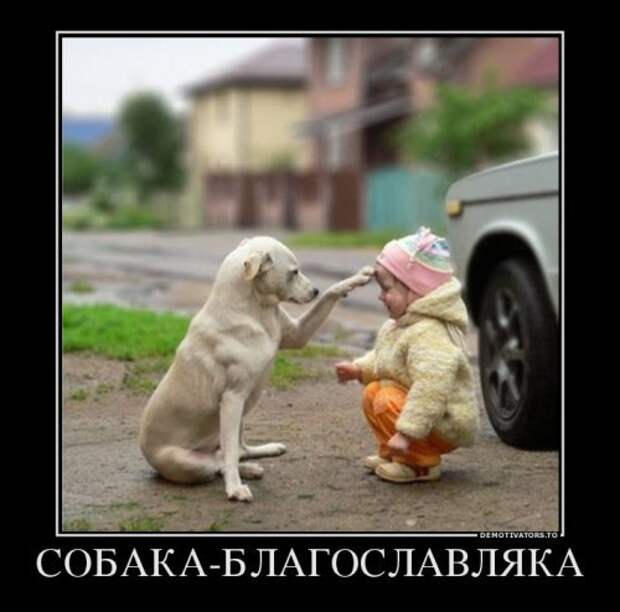 Весёленькие демотиваторы - смешные картинки
