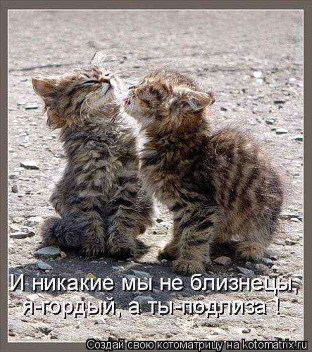 Мысли вслух :)