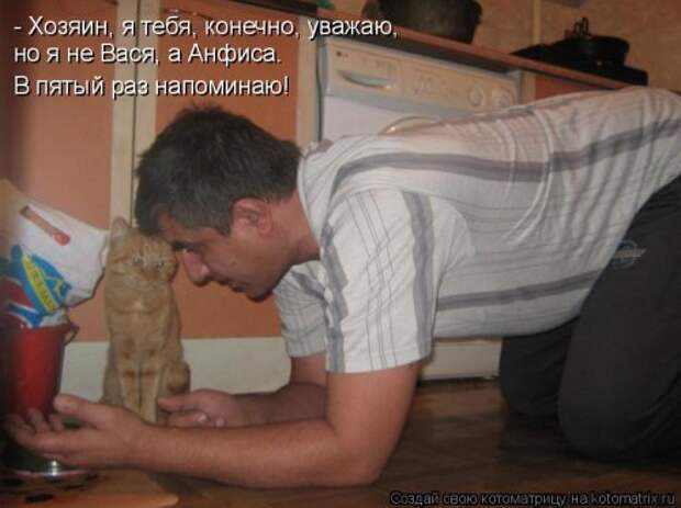 Котоматрица на Бугаге (34 фото)