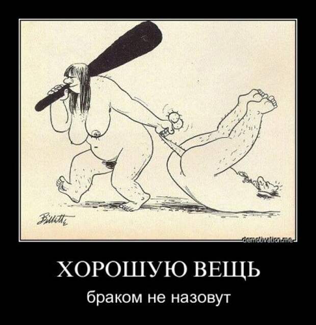 Демотиваторы от которых у тебя поднимется не только настроение. И плевать, что это неправда…