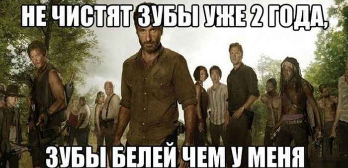 Смешные картинки с подписями катинки, прикол, юмор