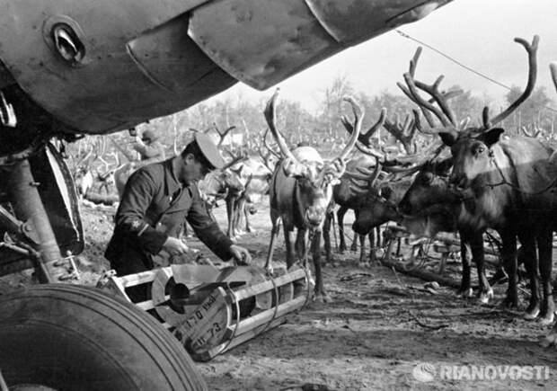 Редкие фотографии Великой Отечественной войны Редкие фотографии Великой Отечественной войны война, ссср, фото. великая отечественная война