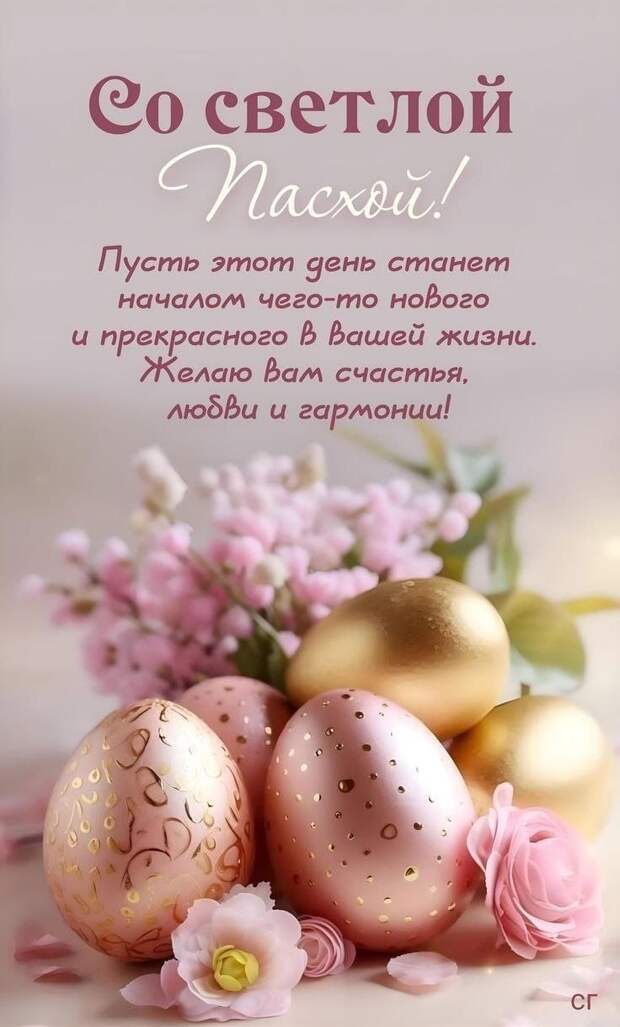 Донецкая группа новостей, Донецк ДНР