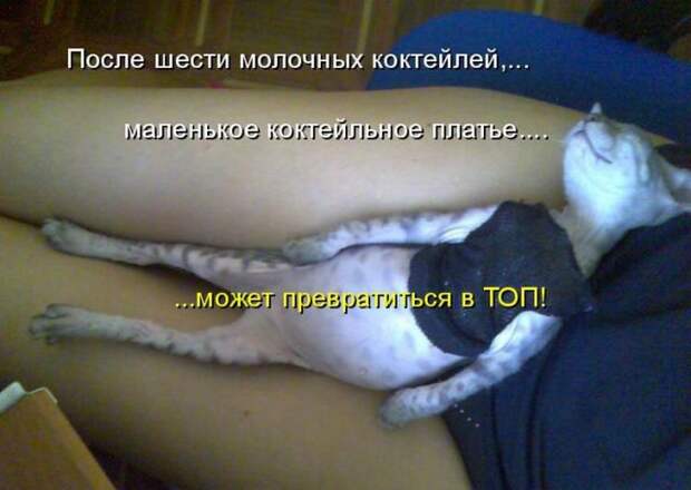 животные