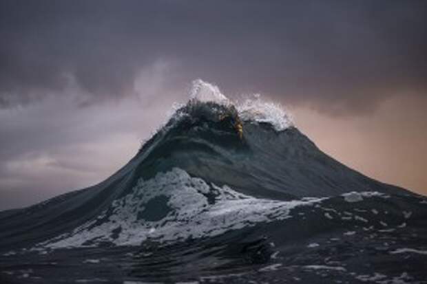 This Man Has One Love: The Wild Oceans