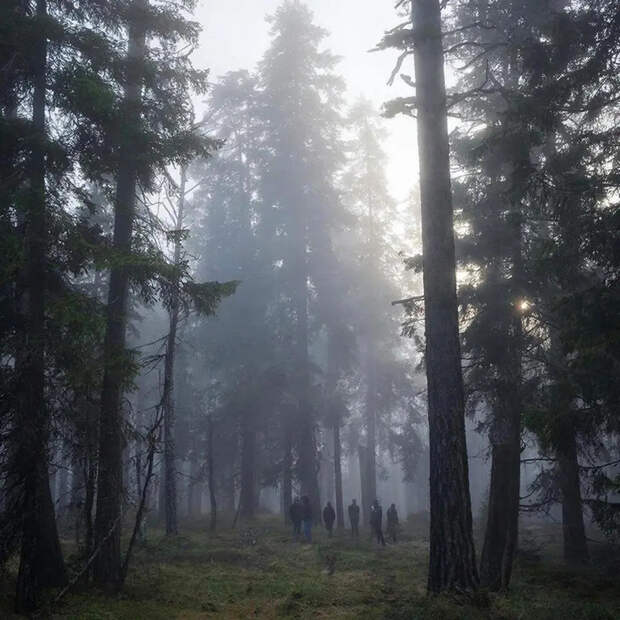 Есть ли мистика в пропаже Усольцевых? Спасатель раскрыл правду об «аномальных» зонах