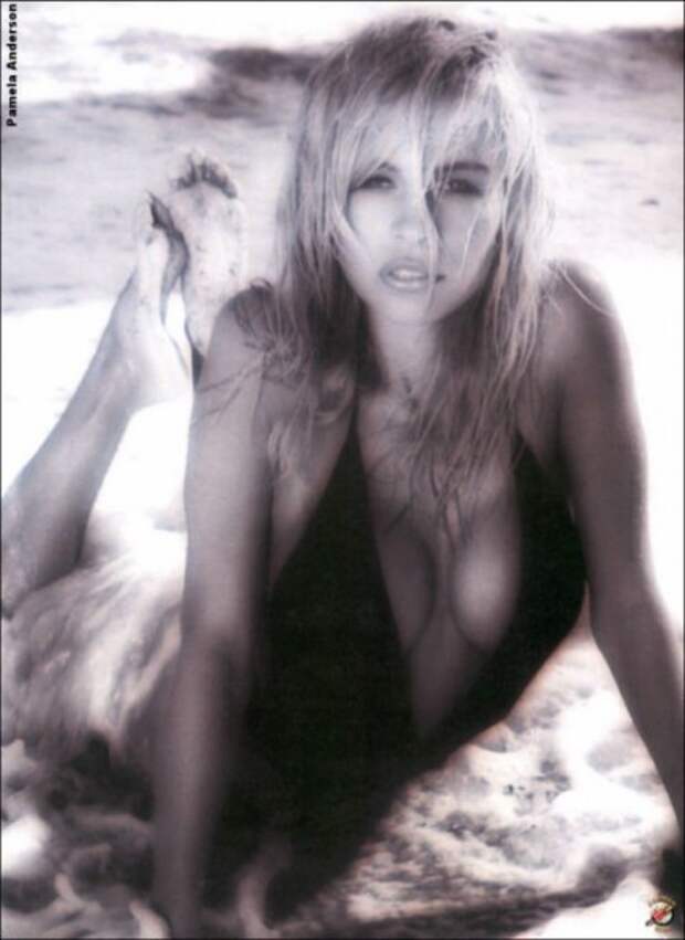 pamela036