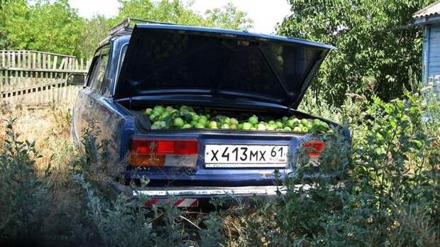 1. Дачник авто, юмор