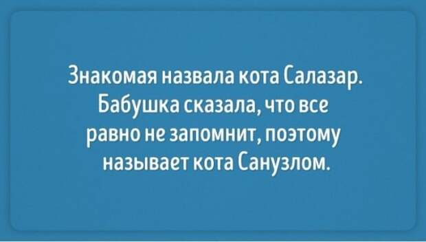 Открытки о наших любимых, но таких забавных бабушках бабушки, открытки