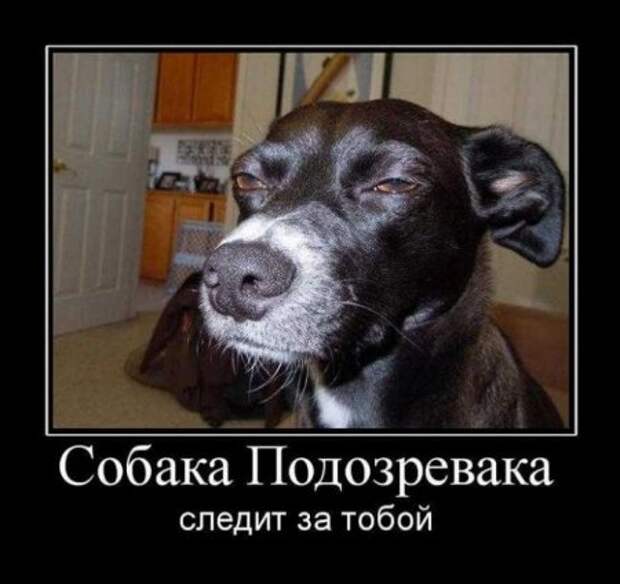 Демотиваторы, подборка прикольных с выдержкой.