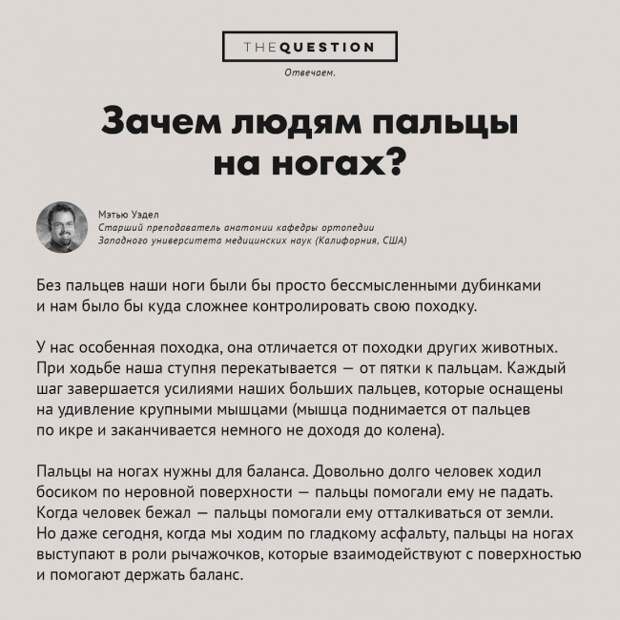 Десять несерьёзных вопросов-ответов в картинках вопрос, ответ