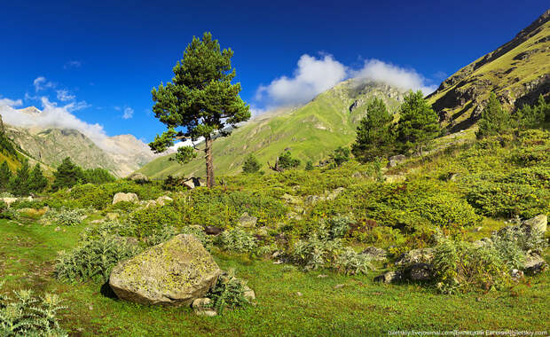 Caucasus mountains