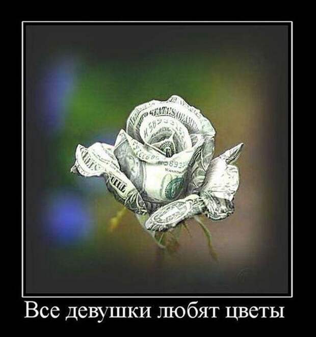 Демотиваторы (30 фото)