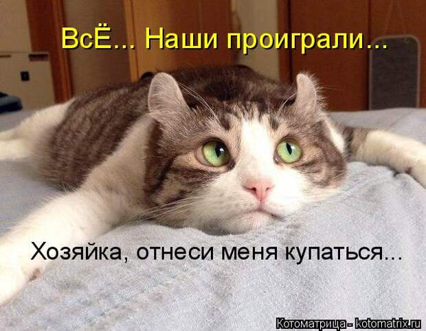 Котяры на приколе и их шаловливые друзья (35 фото)