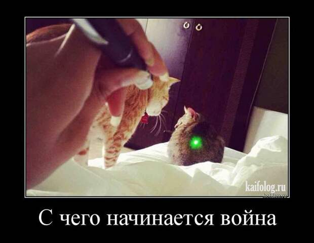 Весёлые демотиваторы - 262 (50 демотиваторов)