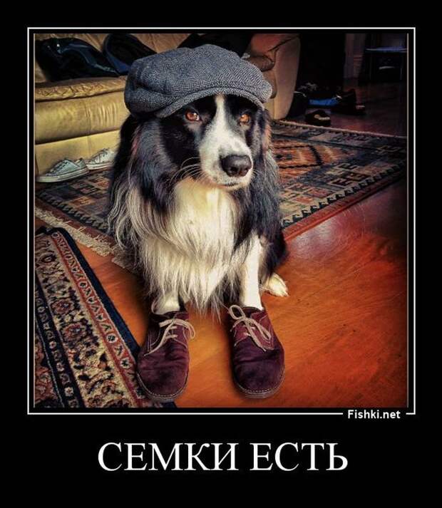 Демотиваторы демотиваторы, прикол, смех, юмор
