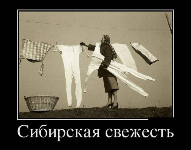 Демотиваторы (30 фото)