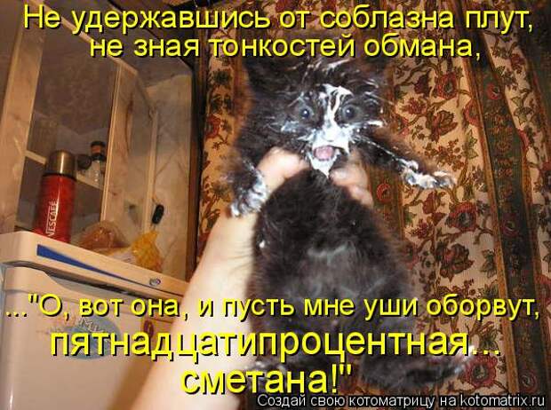 Котоматрица: Не удержавшись от соблазна плут, не зная тонкостей обмана,  ..."О, вот она, и пусть мне уши оборвут,  пятнадцатипроцентная... сметана!"