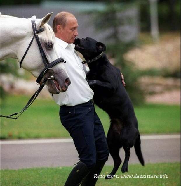 Владимир Владимирович Путин и звери добро, животные, мир, путин, россия