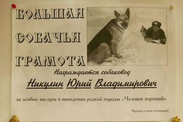 Неизвестный Юрий Никулин  Редкие фото Юрия Никулина, история, фото