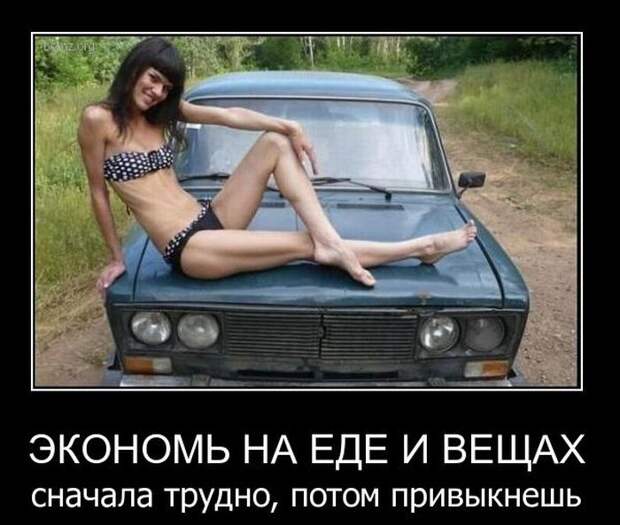 Демотиваторы Демотиваторы