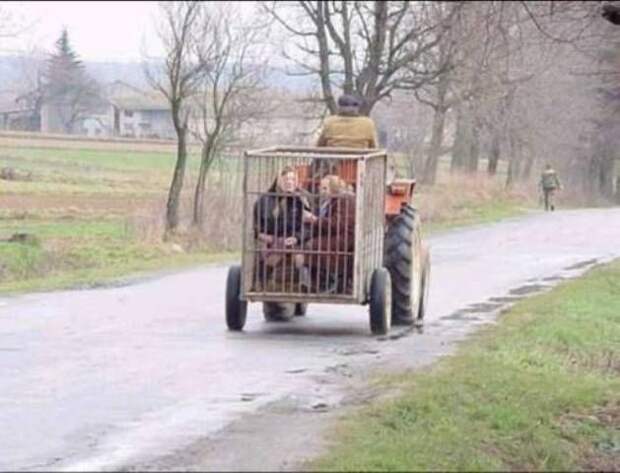 Настоящие мужики настоящие мужики, прикол, юмор