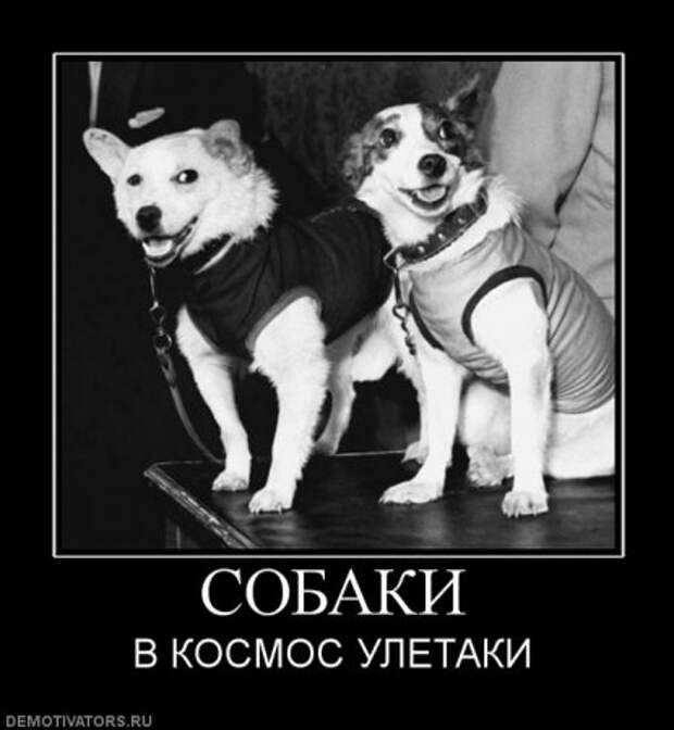 Демотиваторы смешные на сегодня.