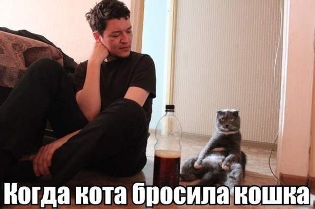 Смешные картинки с подписями катинки, прикол, юмор