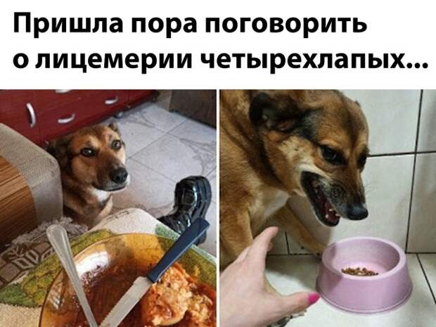 Смешные картинки вечер 25 января 2021