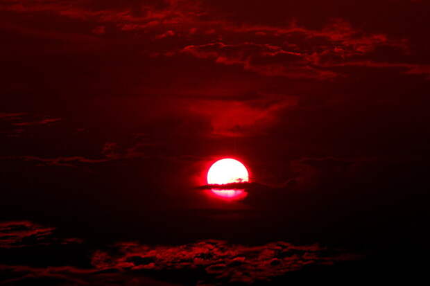 http://foto.infan.ru/img/f/90/t/the-kindred-red-design.jpg