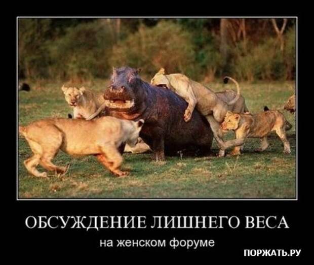 Демы как они есть