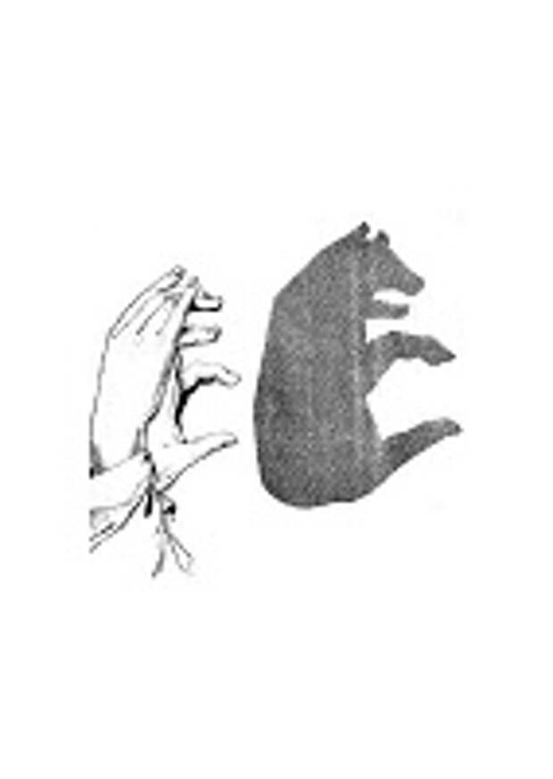 Картинки из теней от рук на стене 13