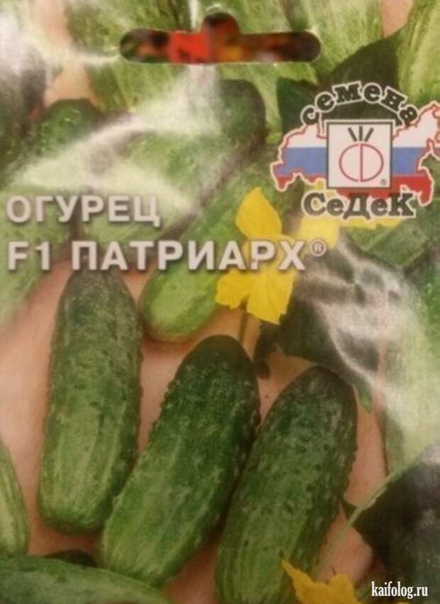 Прикольные семена (35 фото)