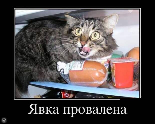 Оставь заботы всяк сюда входящий! 11