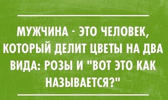 Картинки со смешными подписями картинки, прикол, юмор