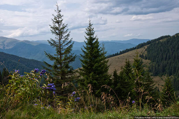 По бескрайним просторам Карпат