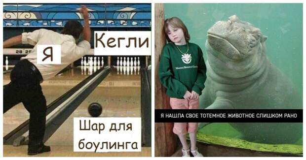 Слишком уж прямолинейный юмор из соцсетей Слишком уж прямолинейный юмор из соцсетей